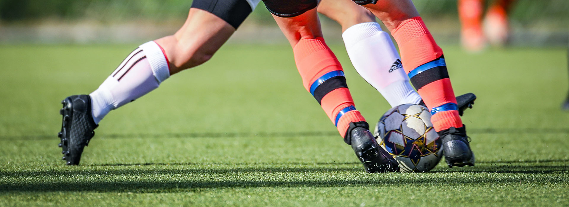 Immobiliare Castel Maggiore per lo sport