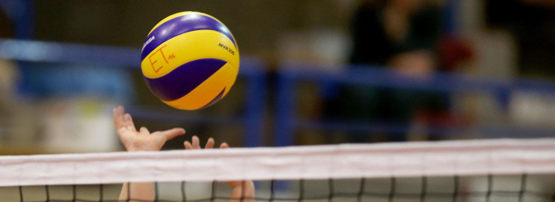 Immobiliare Castel Maggiore per lo sport